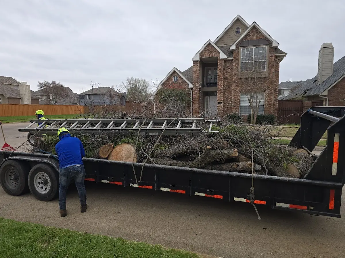 Expert Tree Fertilization with proper safety equipment in Section
